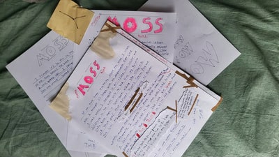 Sample 2