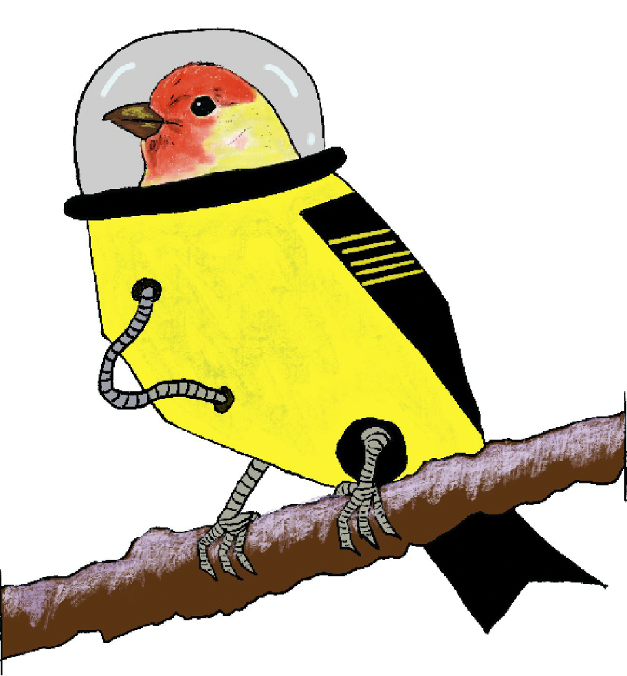 Mail from Birds in Space